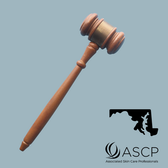 Brown gavel over blue-grey background with shape of Maryland state
