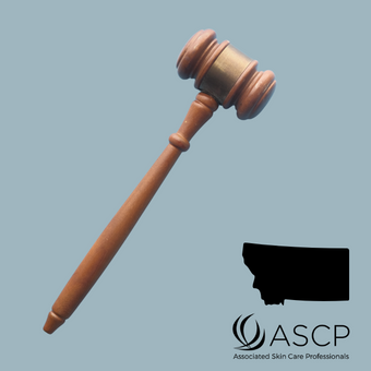 Brown gavel over grey-blue background with shape of Montana