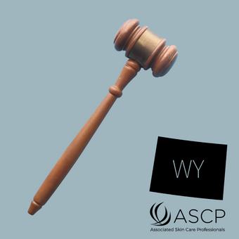 Brown gavel on grey-blue background with shape of Wyoming