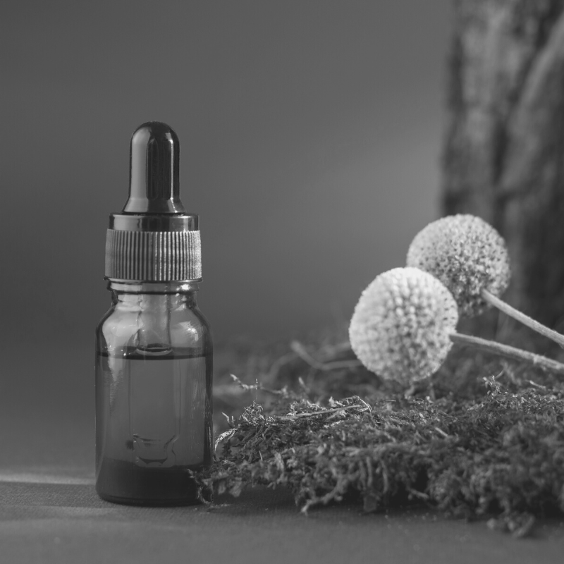A black and white image of an eye-dropper next to moss and flower buds.