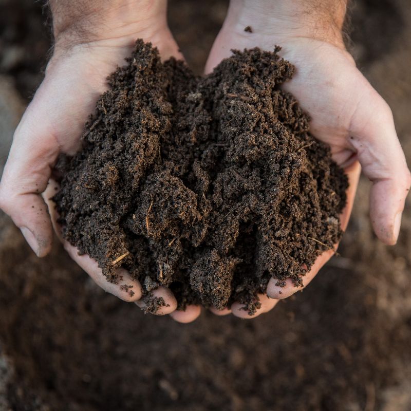Image of hands holding ground soil.