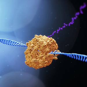 RNA molecule,Epigenetics concept.