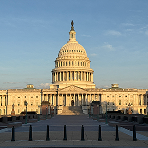 Image of the U.S. Capital