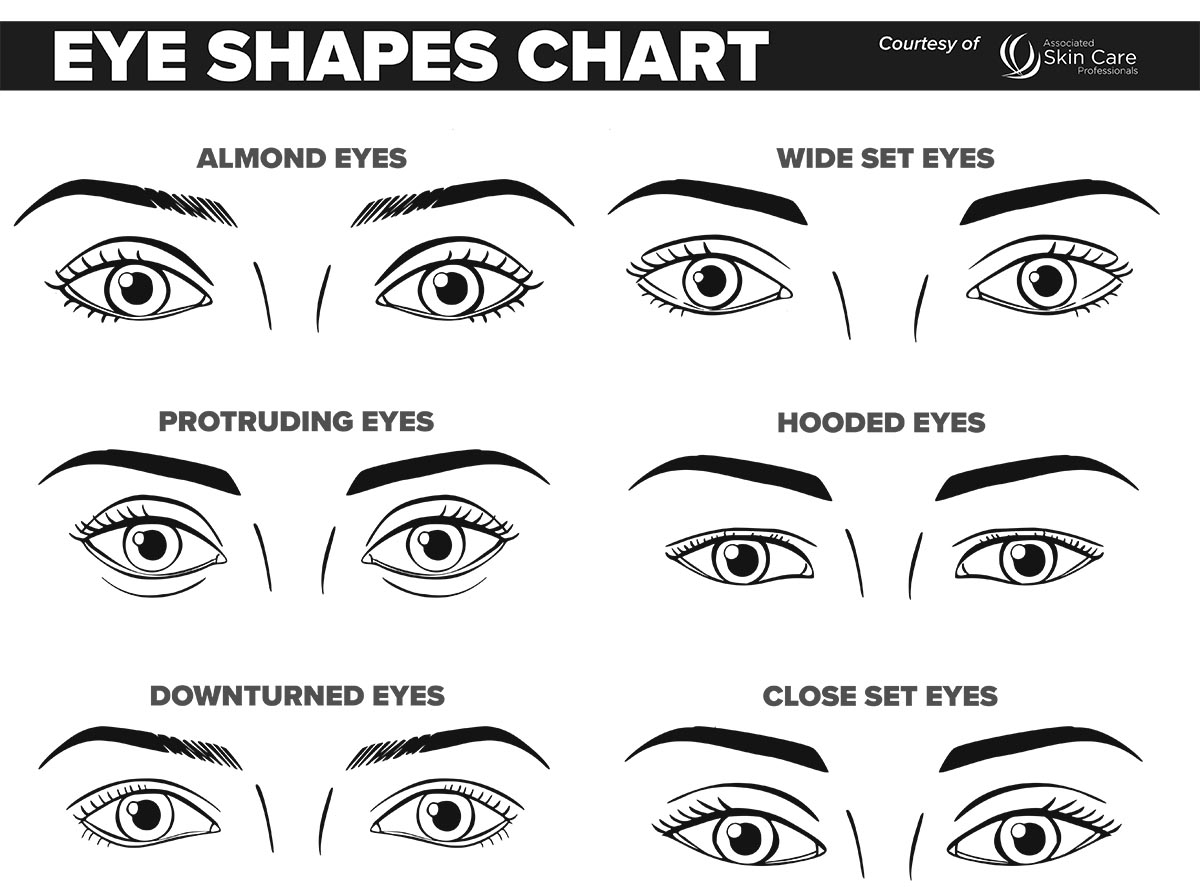 A printable makeup artist face chart for the different eye shapes.