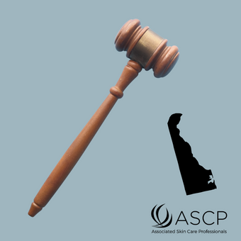 Brown gavel over blue grey background with shape of Delaware