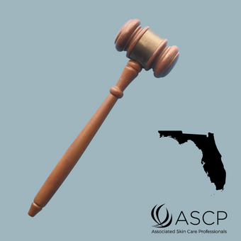 Brown gavel over grey-blue background with shape of Florida