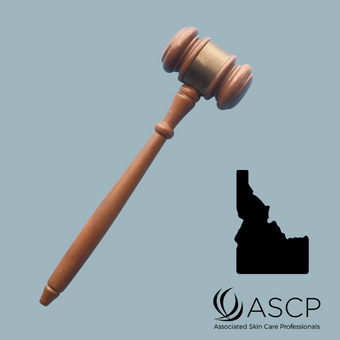 Brown gavel over grey blue background with shape of Idaho