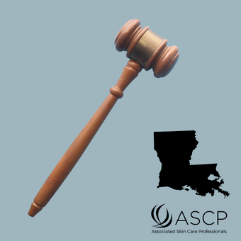 Brown gavel over grey-blue background with shape of Louisiana state