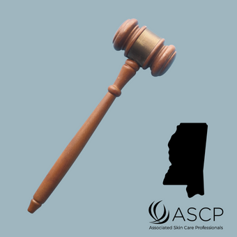 Brown gavel over blue grey background with shape of Mississippi