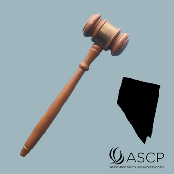 Brown gavel over grey-blue background with shape of Nevada