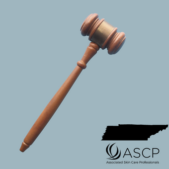 Brown gavel over grey-blue background with shape of Tennessee
