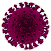 Spiked ball rendering of virus. 
