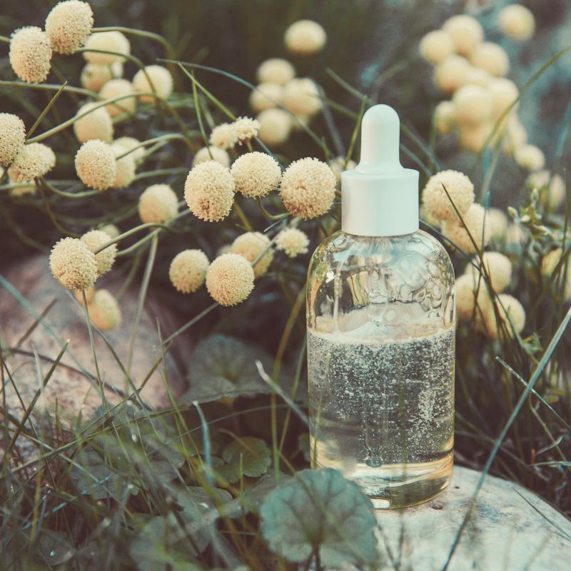 cosmetic bottle sitting amongst plants