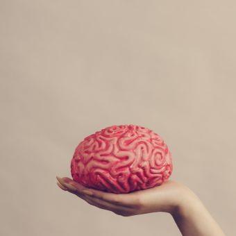 Brain-Skin Connection