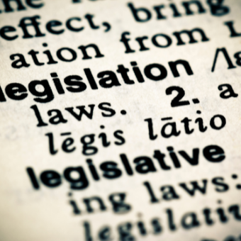 Dictionary definition of legislation